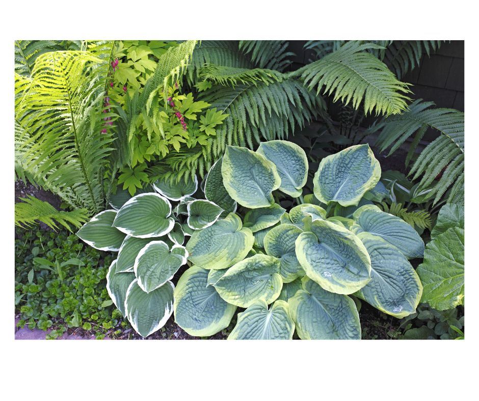 Perennial Exchange at Wright Station 